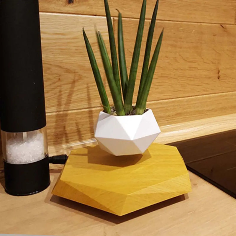 Floating Magnetic Levitating Flower Pot – Creative Air Bonsai Planter for Home & Office
