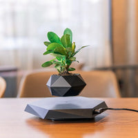 Floating Magnetic Levitating Flower Pot – Floating Planter for Home & Office