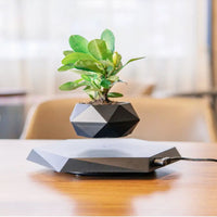 Floating Magnetic Levitating Flower Pot – Floating Planter for Home & Office